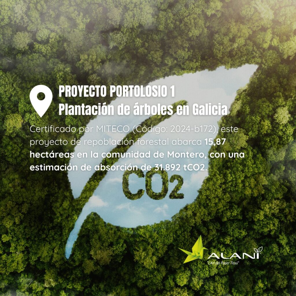 Compensacion C02 Proyecto Portolosio 1